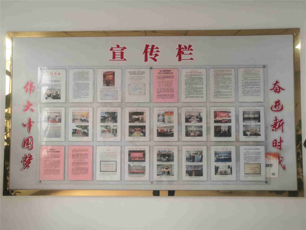 曾氏贵宾会|HOME