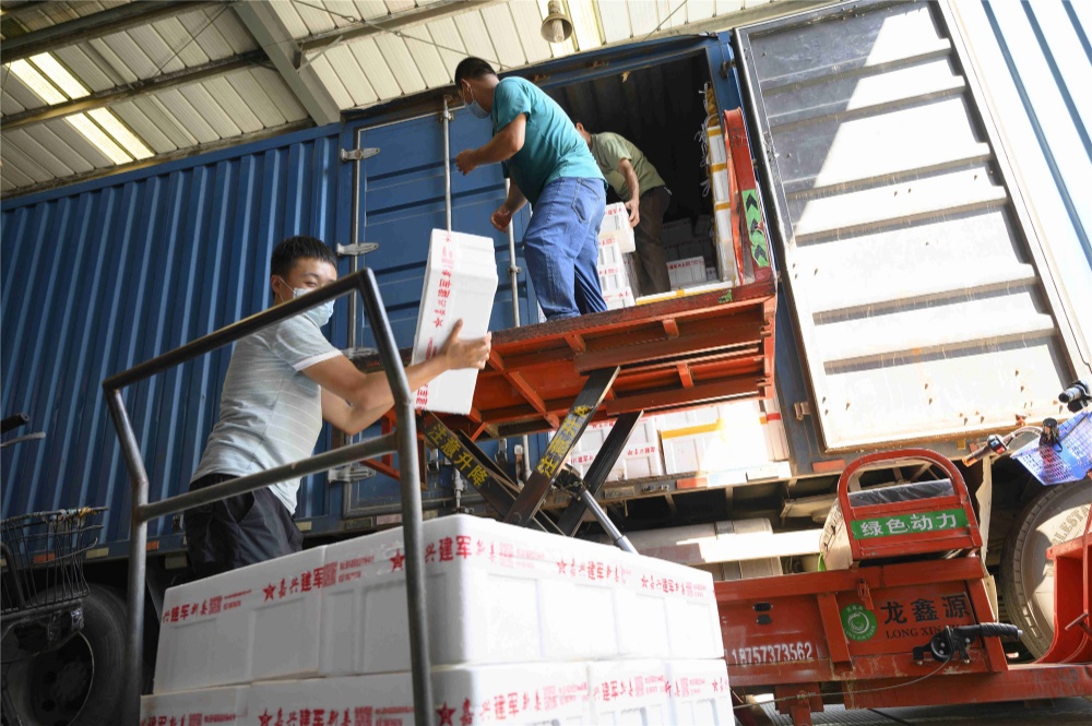 曾氏贵宾会|HOME