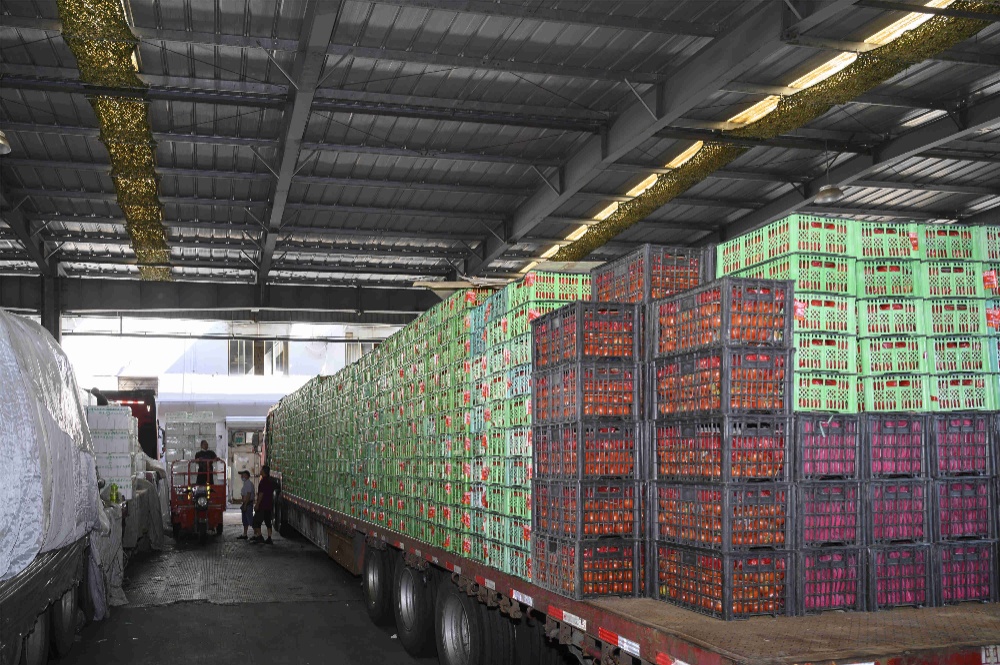 曾氏贵宾会|HOME