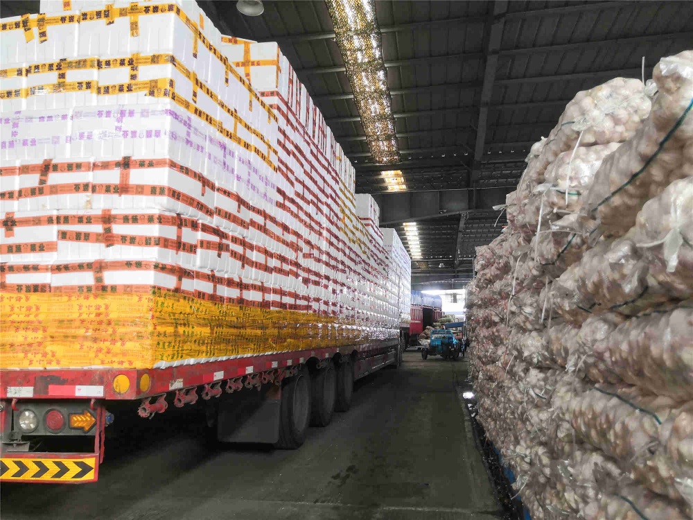 曾氏贵宾会|HOME