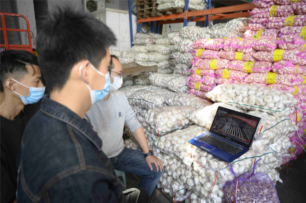 曾氏贵宾会|HOME