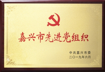 黄冈市先进党组织