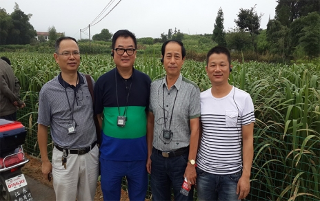 2014年8月，中国蔬菜流通协会会长戴中久与公司、市场辅导一路调查蔬菜基地