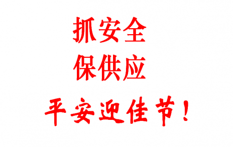 查隐患 促安全 保供给 贺新春！