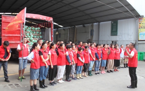 自愿服务助力卫生文化市场创建