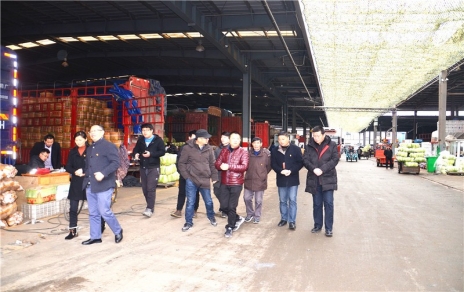 调查互换碰撞智慧火花