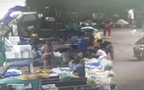 助报答乐正能量  情系菜农暖人心