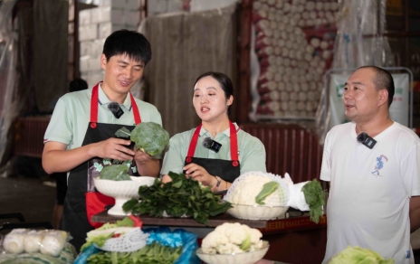 走进张北高原，领略夏菜魅力